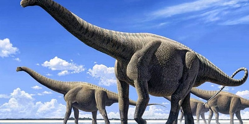 dinozaury góry świętokrzyskie
