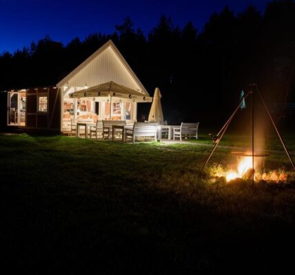 weekend-ktory-zmienia-relacje-z-psem-pierwsza-edycja-psiej-akademii