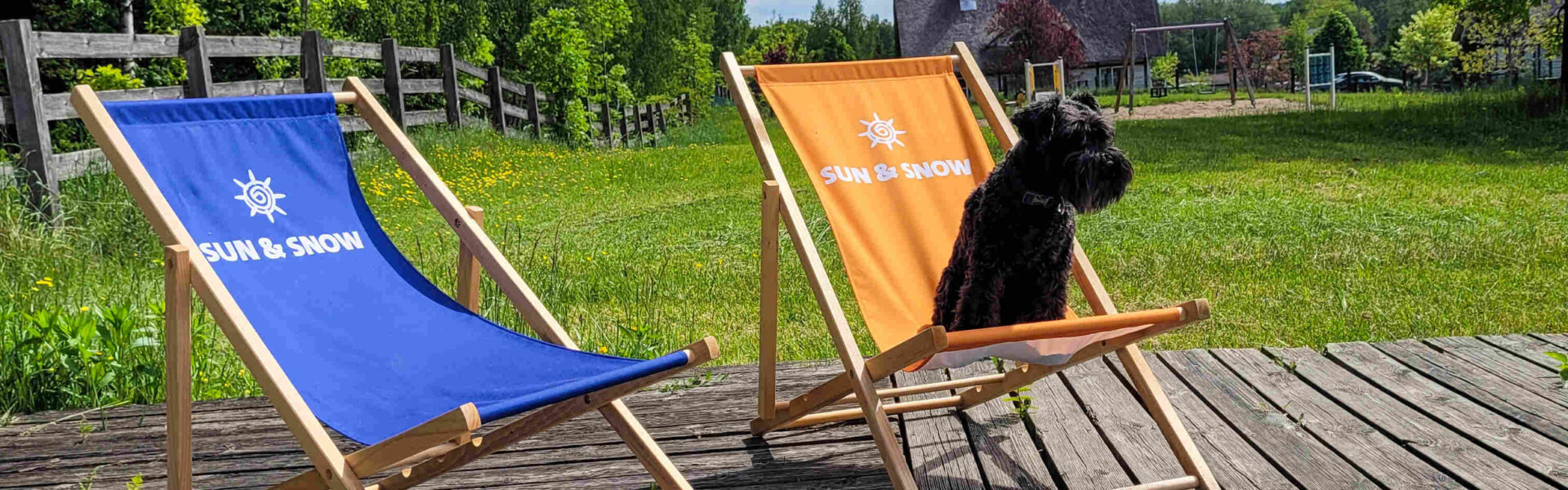 wakacje-z-psem-to-za-malo-sun-snow-ruszyl-z-psia-akademia-dla-opiekunow-i-przyjaciol-czworonogow